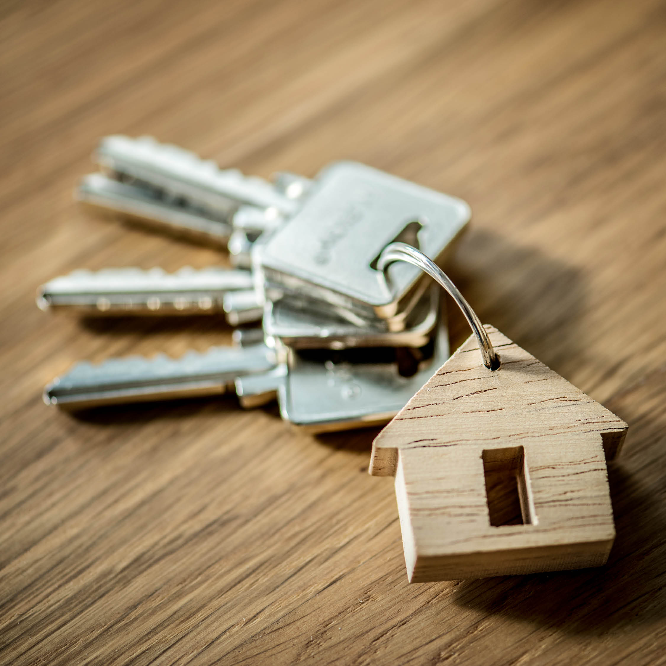 diagnostiqueur immobilier