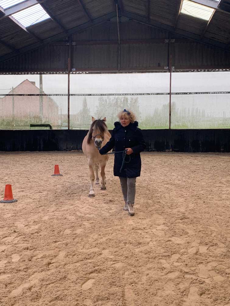 Equifeeling10