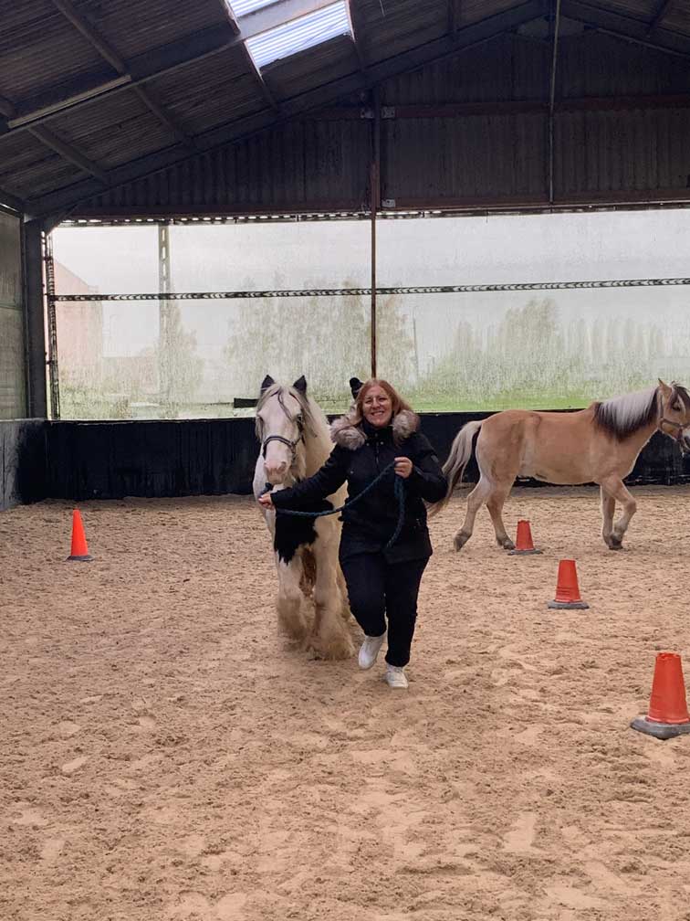 Equifeeling8